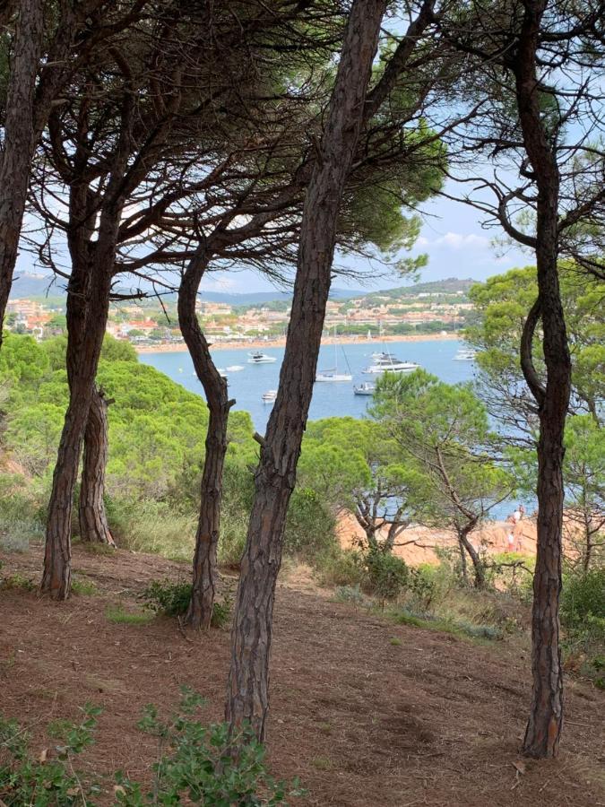 Apartamento Luminoso Paloma A 350 Metros De La Playa Con Parking Gratuito Sant Feliu de Guixols Exterior photo
